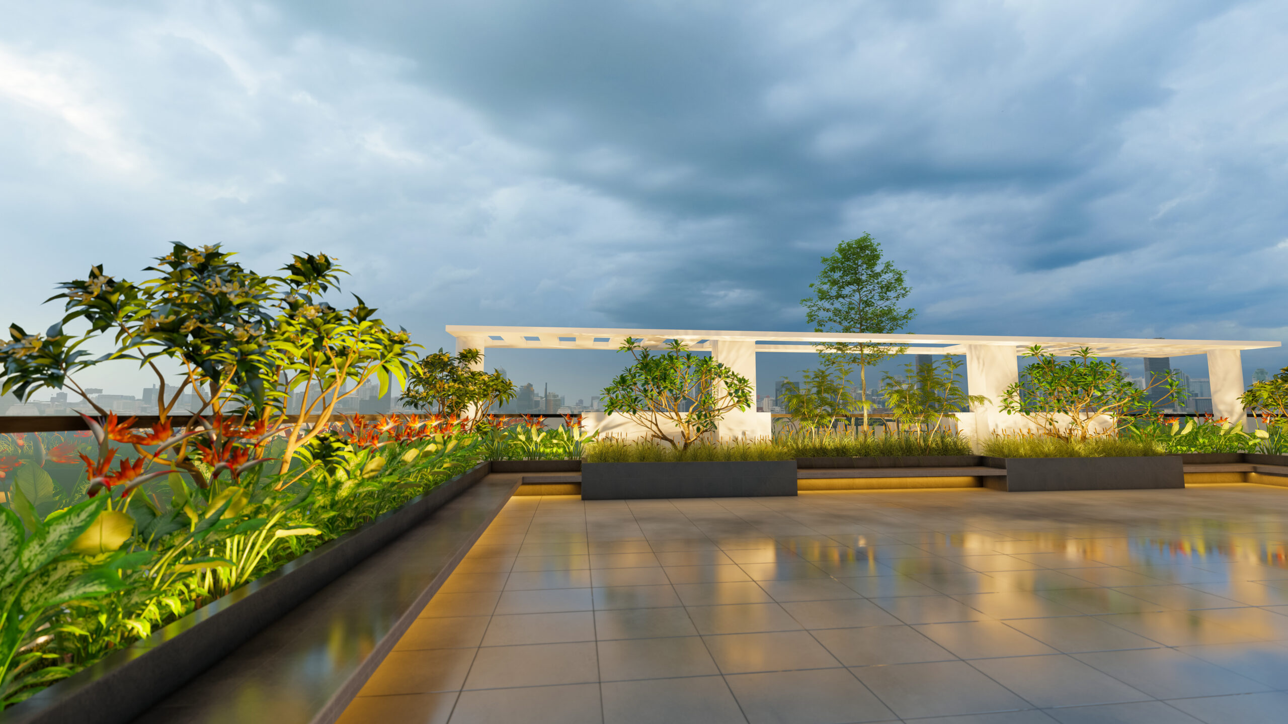 Rooftop view